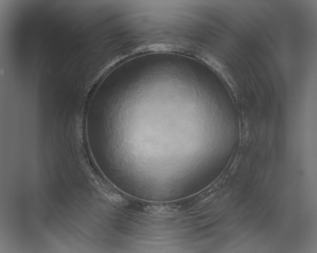 X0000073910297200608251530