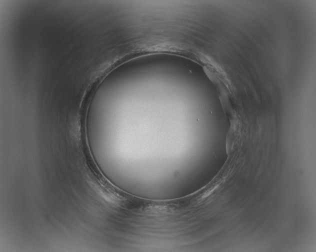 X0000073910298200608251530
