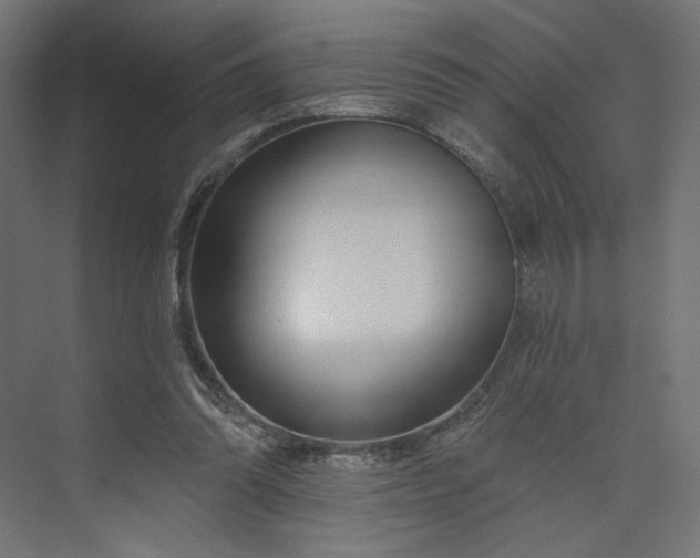 X0000073910302200608251530