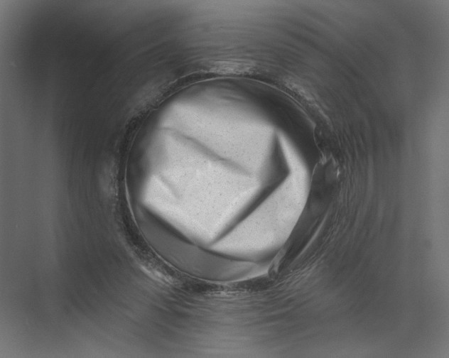 X0000073910303200608251530