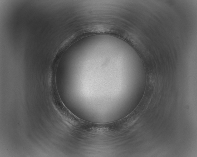 X0000073910304200608251530