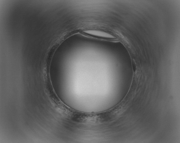 X0000073910306200608251530