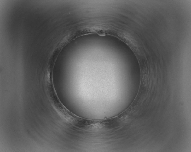 X0000073910310200608251530