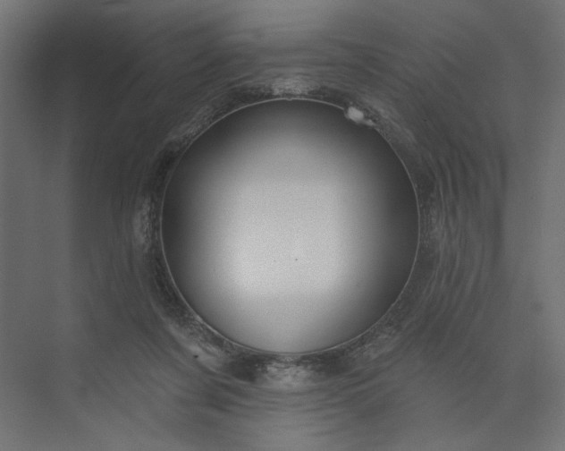 X0000073910311200608251530