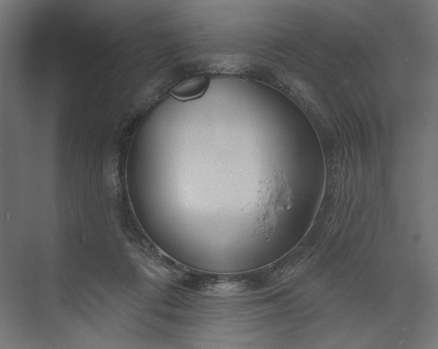 X0000073910312200608251530