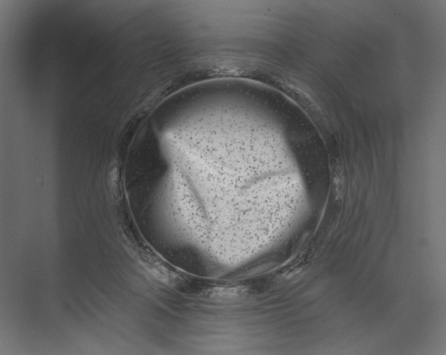 X0000073910314200608251530