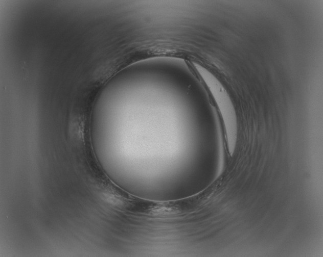 X0000073910315200608251530