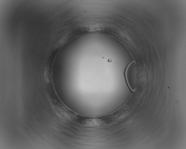 X0000073910316200608251530