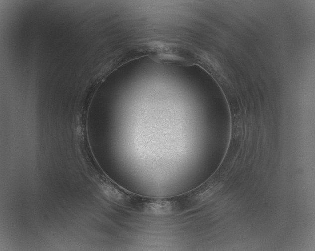 X0000073910317200608251530