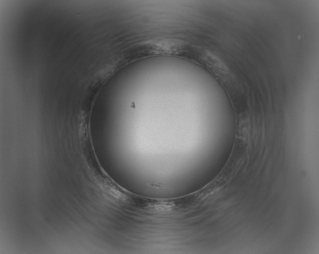 X0000073910318200608251530