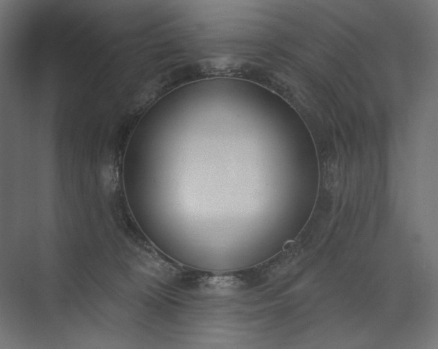 X0000073910324200608251530