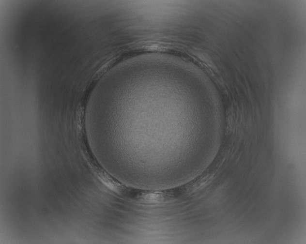 X0000073910325200608251530