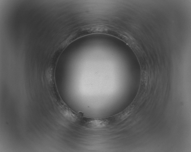 X0000073910326200608251530