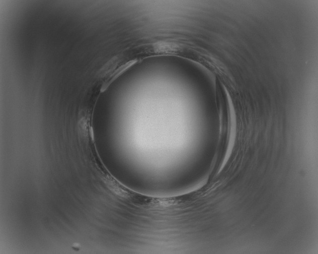 X0000073910329200608251530
