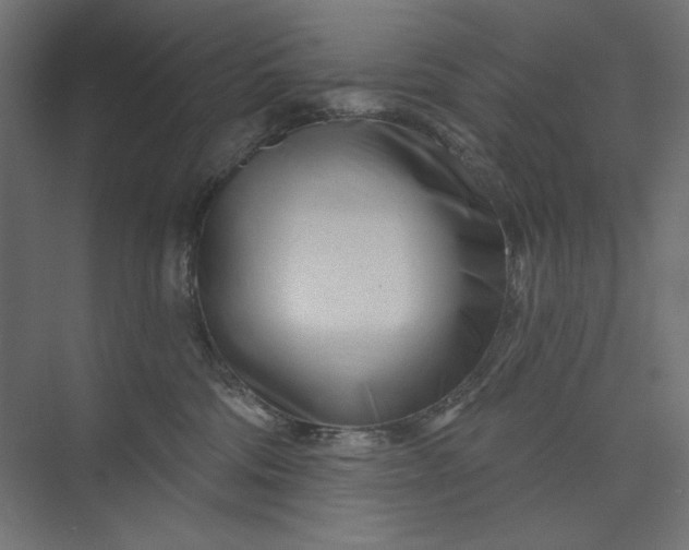 X0000073910330200608251530