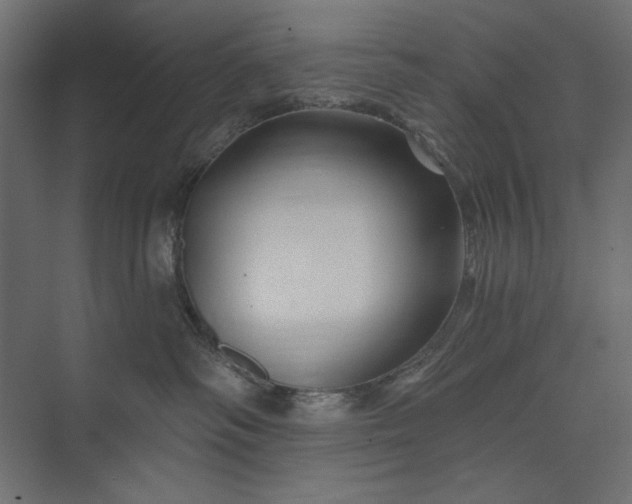 X0000073910334200608251530