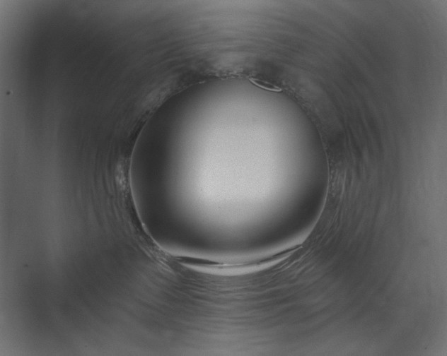 X0000073910335200608251530