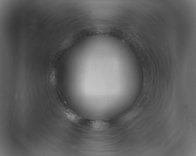 X0000073910336200608251530