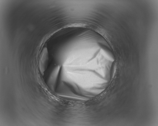 X0000073910337200608251529