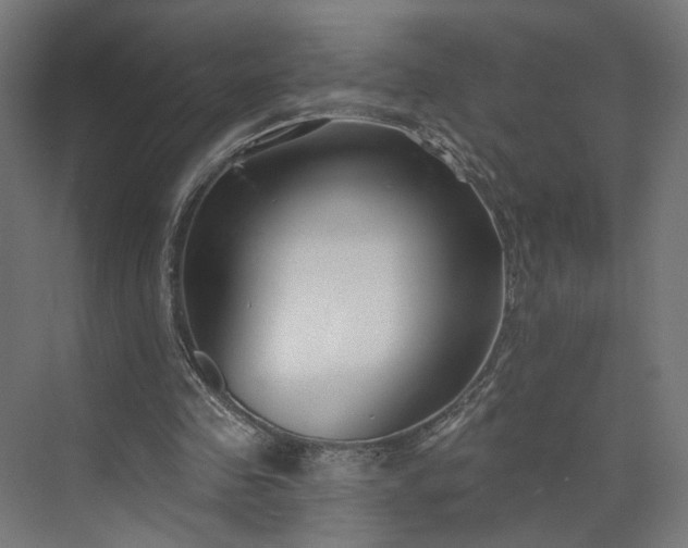X0000073910341200608251529