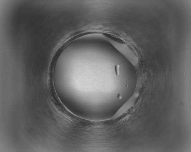 X0000073910344200608251529