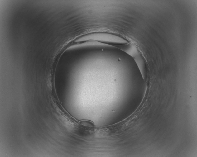 X0000073910345200608251529