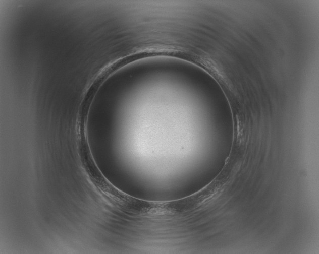 X0000073910348200608251529