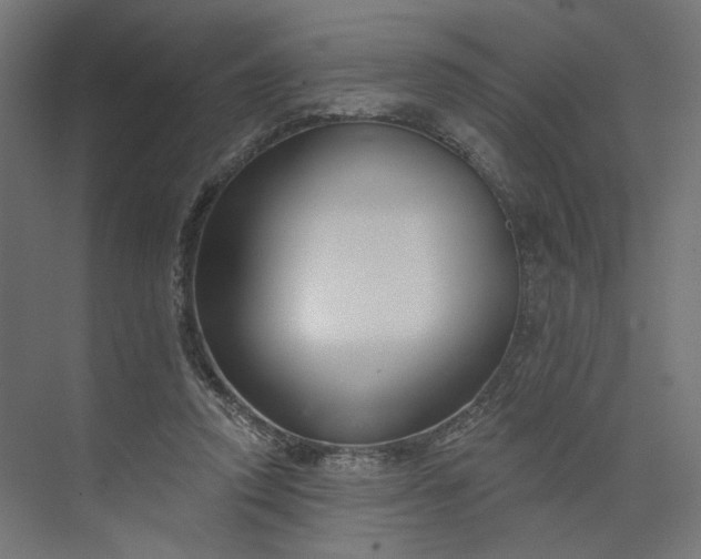 X0000073910354200608251529