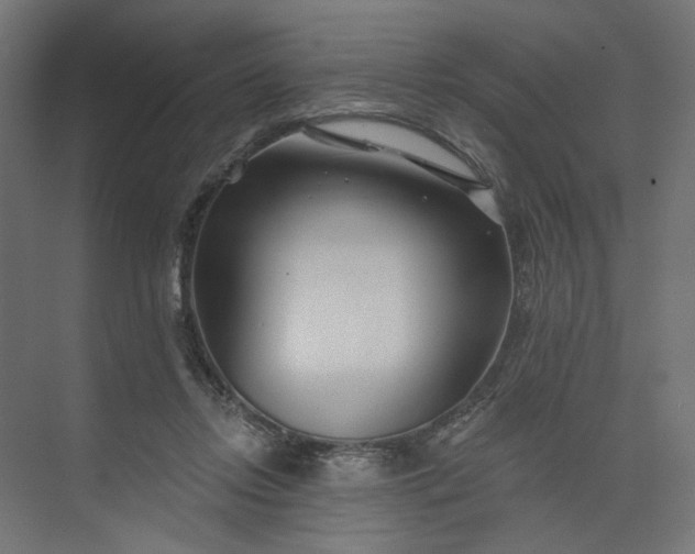 X0000073910358200608251529