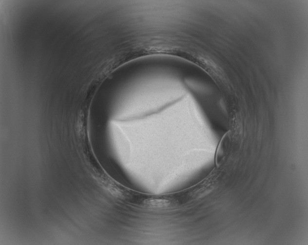 X0000073910361200608251529
