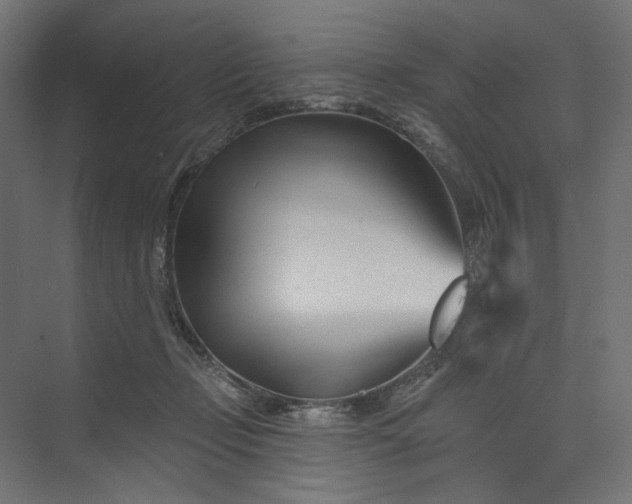 X0000073910365200608251529