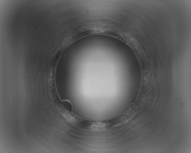 X0000073910369200608251529