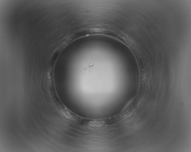 X0000073910373200608251530
