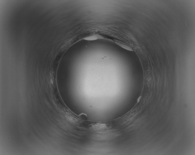 X0000073910374200608251530