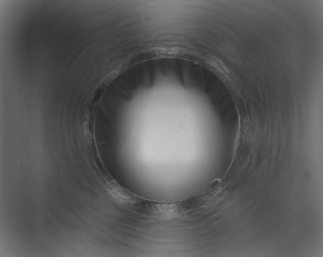 X0000073910377200608251530