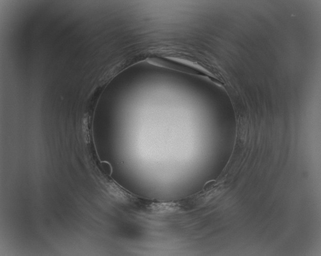 X0000073910378200608251530