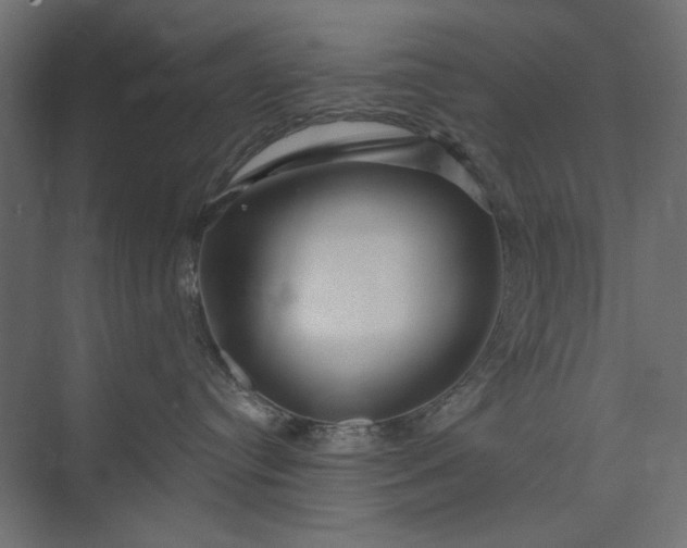 X0000073910384200608251530