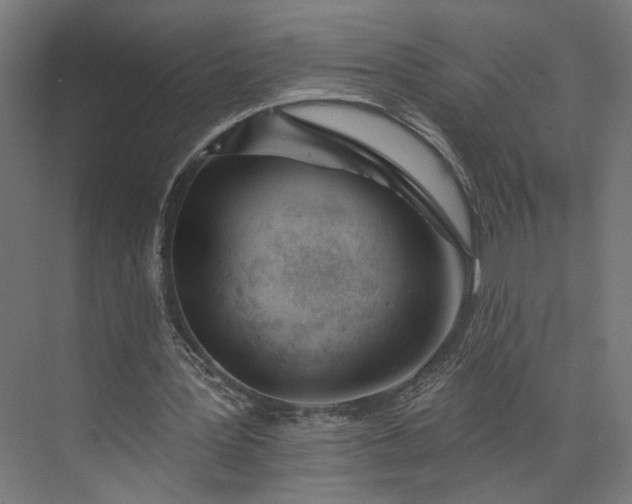 X0000073910387200608251529