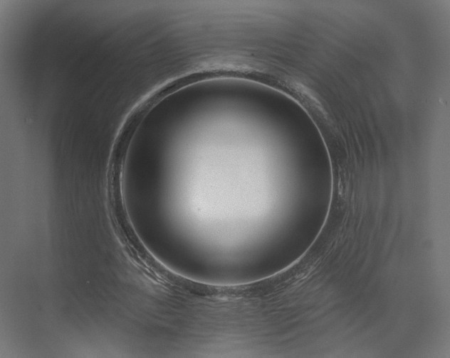 X0000073910388200608251529