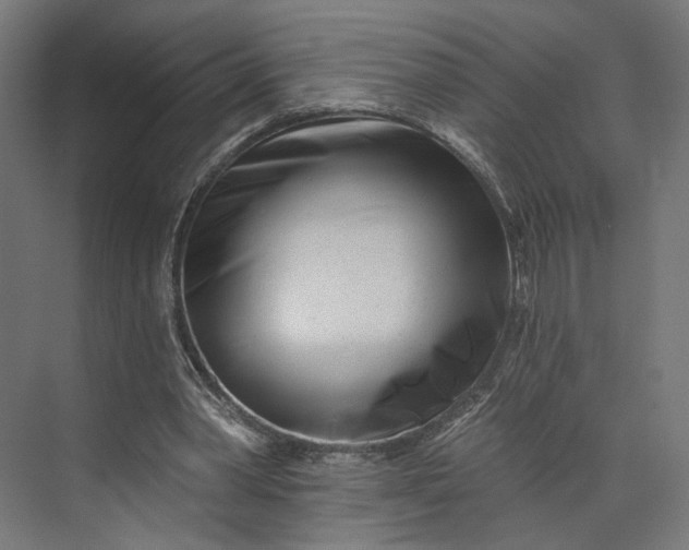 X0000073910390200608251529