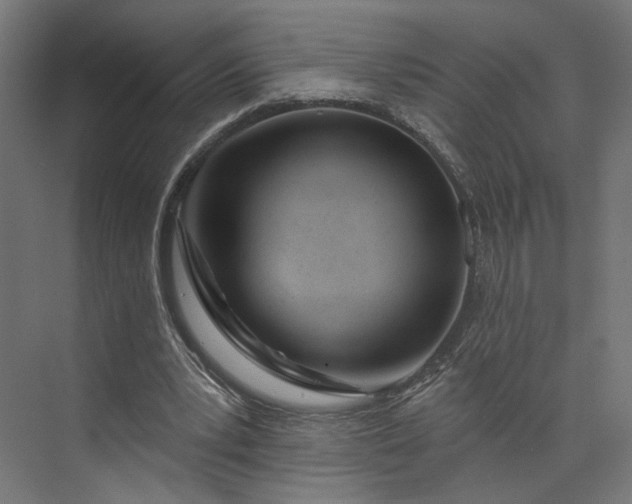 X0000073910391200608251529