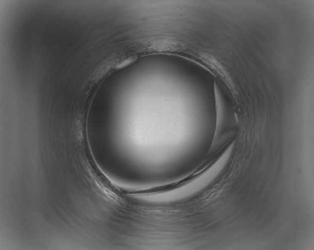 X0000073910393200608251529
