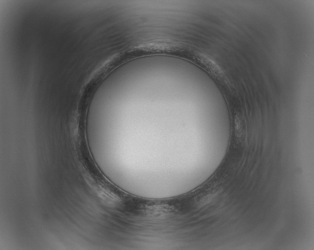 X0000073910396200608251529
