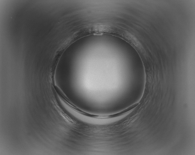 X0000073910401200608251529
