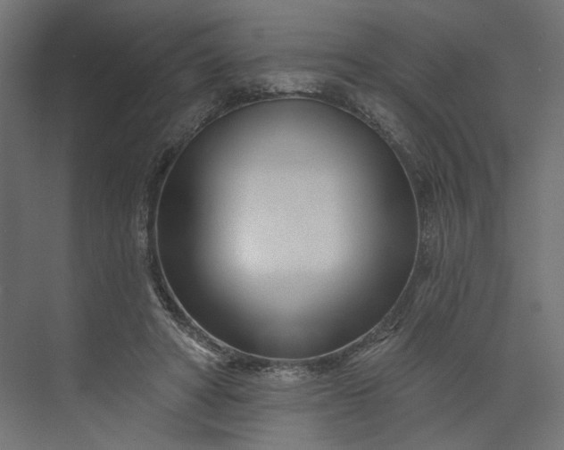 X0000073910402200608251529