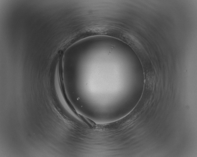 X0000073910404200608251529
