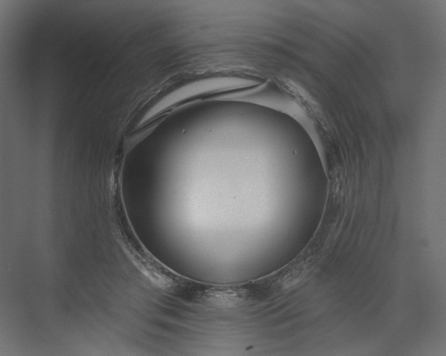 X0000073910405200608251529