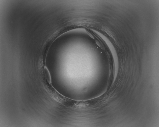 X0000073910407200608251529