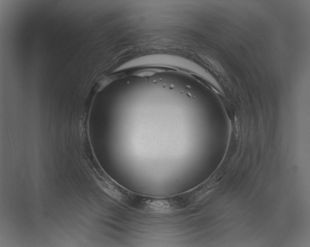 X0000073910409200608251528