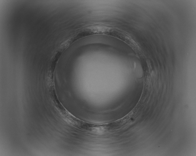 X0000073910411200608251528